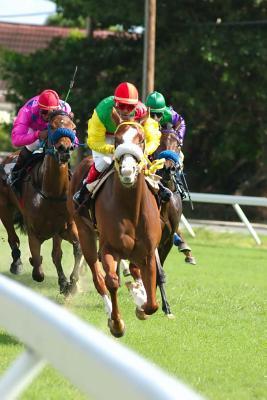 [77620] *R.e.a.d! #O.n.l.i.n.e! The Horse Racing Journal: 150 Page Lined Notebook/Diary -  %ePub*