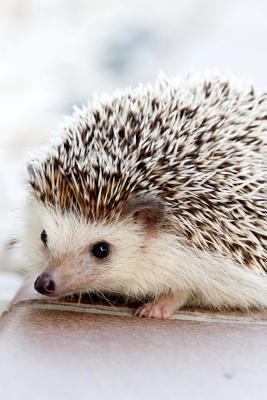 [a1916] @F.u.l.l.! *D.o.w.n.l.o.a.d@ Hedgehog Animal Journal: 150 Page Lined Notebook/Diary -  ~e.P.u.b^