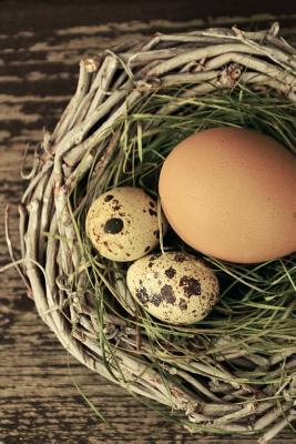 [ac472] #Download% Eggs in a Basket on the Table: Blank 150 Page Lined Journal for Your Thoughts, Ideas, and Inspiration -  %e.P.u.b!