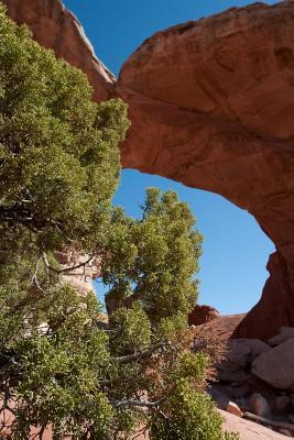 cf93c] @D.o.w.n.l.o.a.d! The Broken Arch in Arches National Park, Utah: Blank 150 Page Lined Journal for Your Thoughts, Ideas, and Inspiration -  *PDF*